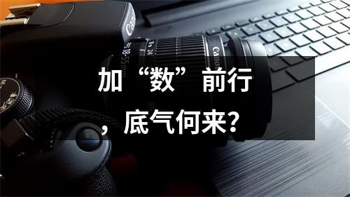 加“数”前行，底气何来？