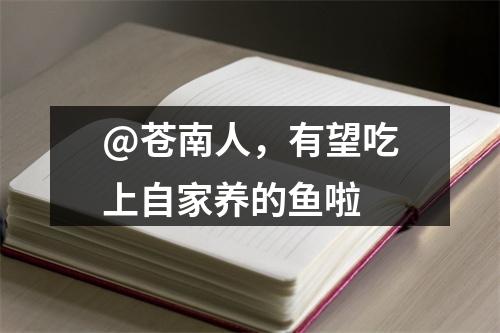 @苍南人，有望吃上自家养的鱼啦