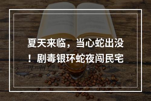 夏天来临，当心蛇出没！剧毒银环蛇夜闯民宅