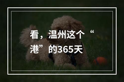 看，温州这个“港”的365天