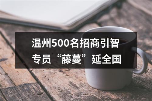温州500名招商引智专员“藤蔓”延全国