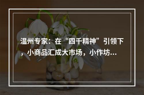 温州专家：在“四千精神”引领下，小商品汇成大市场，小作坊变成大企业