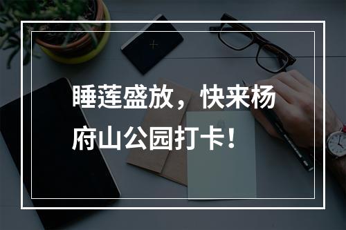 睡莲盛放，快来杨府山公园打卡！