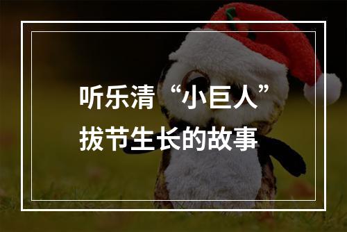 听乐清“小巨人”拔节生长的故事