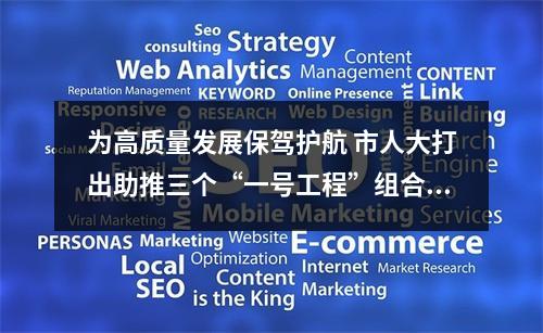 为高质量发展保驾护航 市人大打出助推三个“一号工程”组合拳