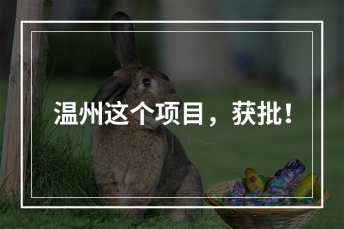 温州这个项目，获批！