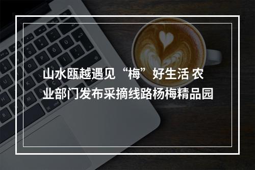 山水瓯越遇见“梅”好生活 农业部门发布采摘线路杨梅精品园