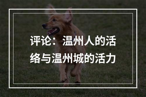评论：温州人的活络与温州城的活力