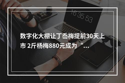 数字化大棚让丁岙梅提前30天上市 2斤杨梅880元成为“浙江第一拍”