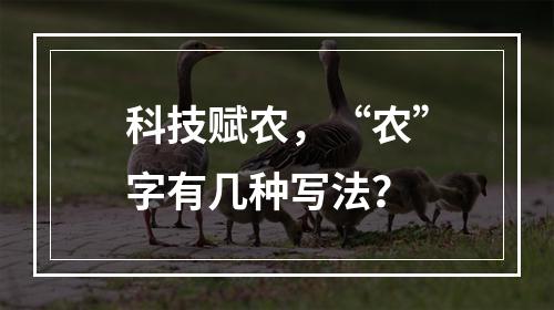 科技赋农，“农”字有几种写法？