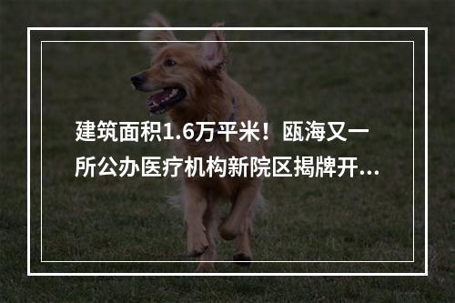 建筑面积1.6万平米！瓯海又一所公办医疗机构新院区揭牌开业