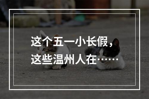 这个五一小长假，这些温州人在……