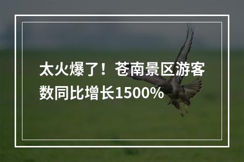 太火爆了！苍南景区游客数同比增长1500%