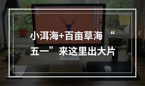 小洱海+百亩草海 “五一”来这里出大片