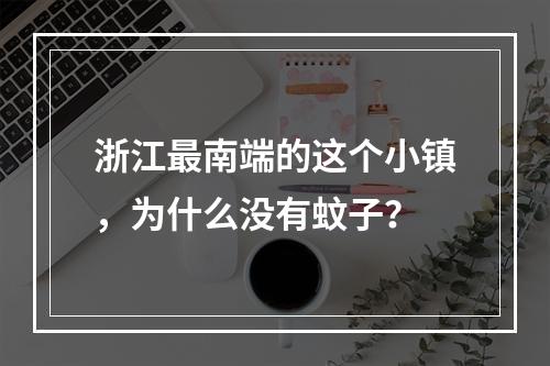 浙江最南端的这个小镇，为什么没有蚊子？