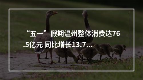 “五一”假期温州整体消费达76.5亿元 同比增长13.73%