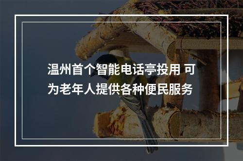 温州首个智能电话亭投用 可为老年人提供各种便民服务