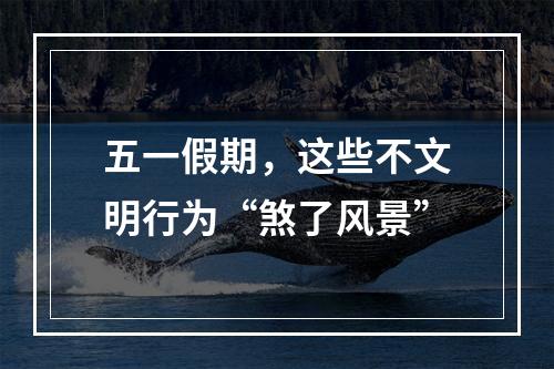 五一假期，这些不文明行为“煞了风景”