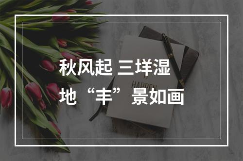 秋风起 三垟湿地“丰”景如画