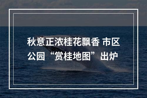 秋意正浓桂花飘香 市区公园“赏桂地图”出炉