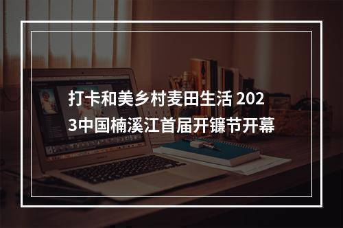 打卡和美乡村麦田生活 2023中国楠溪江首届开镰节开幕