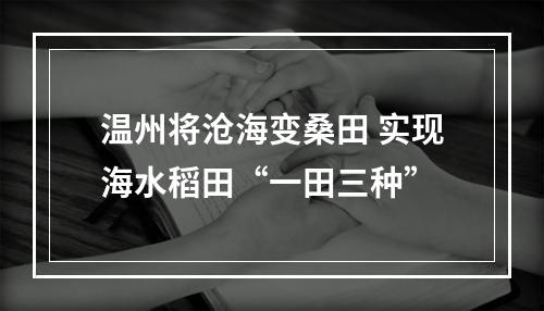 温州将沧海变桑田 实现海水稻田“一田三种”