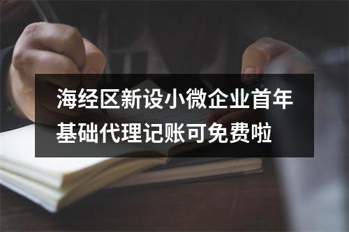 海经区新设小微企业首年基础代理记账可免费啦