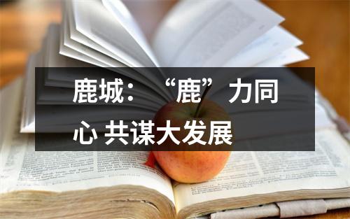 鹿城：“鹿”力同心 共谋大发展
