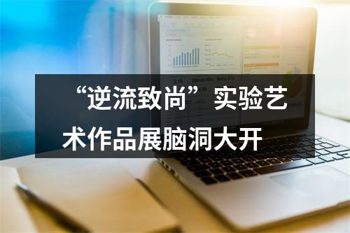 “逆流致尚”实验艺术作品展脑洞大开
