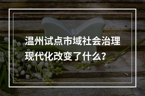 温州试点市域社会治理现代化改变了什么？