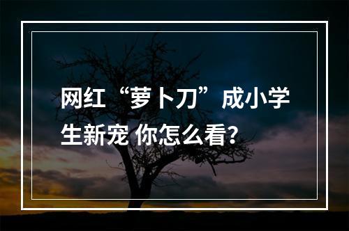 网红“萝卜刀”成小学生新宠 你怎么看？