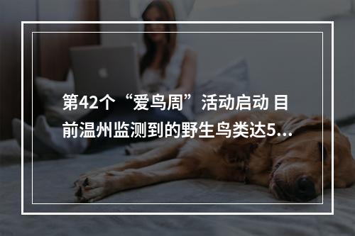 第42个“爱鸟周”活动启动 目前温州监测到的野生鸟类达500余种