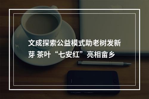 文成探索公益模式助老树发新芽 茶叶“七安红”亮相畲乡