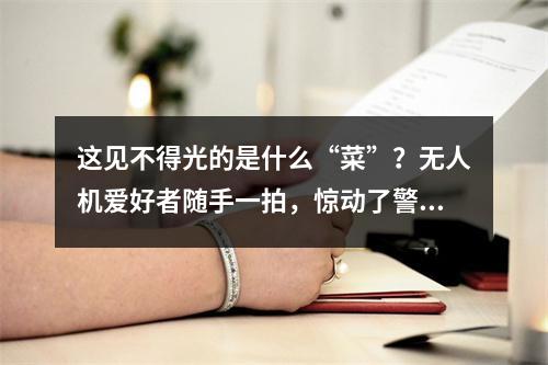 这见不得光的是什么“菜”？无人机爱好者随手一拍，惊动了警方