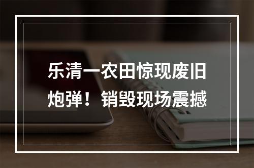 乐清一农田惊现废旧炮弹！销毁现场震撼
