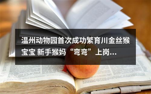 温州动物园首次成功繁育川金丝猴宝宝 新手猴妈“弯弯”上岗啦