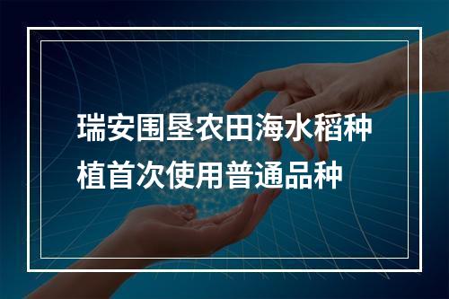 瑞安围垦农田海水稻种植首次使用普通品种
