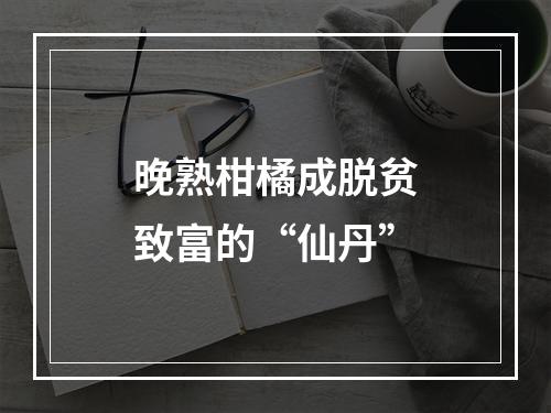晚熟柑橘成脱贫致富的“仙丹”