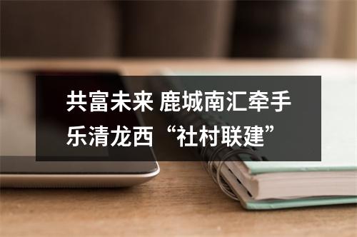 共富未来 鹿城南汇牵手乐清龙西“社村联建”