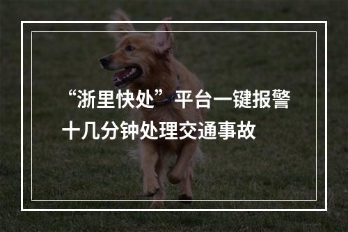 “浙里快处”平台一键报警 十几分钟处理交通事故