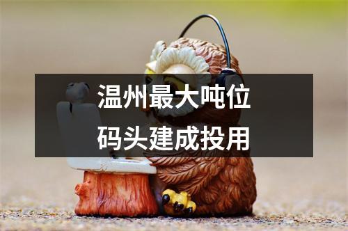 温州最大吨位码头建成投用