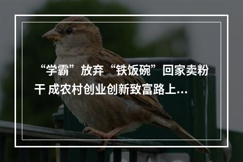 “学霸”放弃“铁饭碗”回家卖粉干 成农村创业创新致富路上带头人