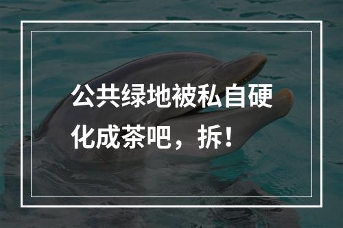 公共绿地被私自硬化成茶吧，拆！