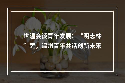 世温会谈青年发展：“明志林”旁，温州青年共话创新未来