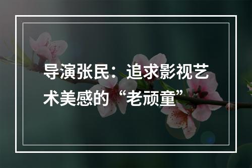 导演张民：追求影视艺术美感的“老顽童”