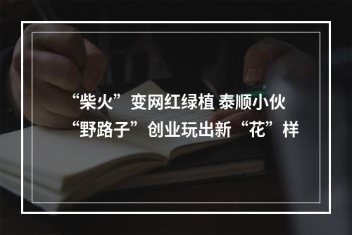 “柴火”变网红绿植 泰顺小伙“野路子”创业玩出新“花”样