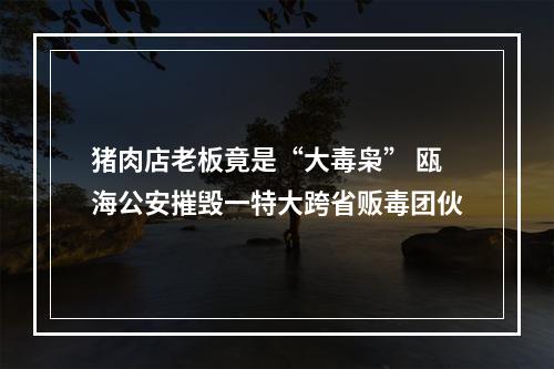 猪肉店老板竟是“大毒枭” 瓯海公安摧毁一特大跨省贩毒团伙