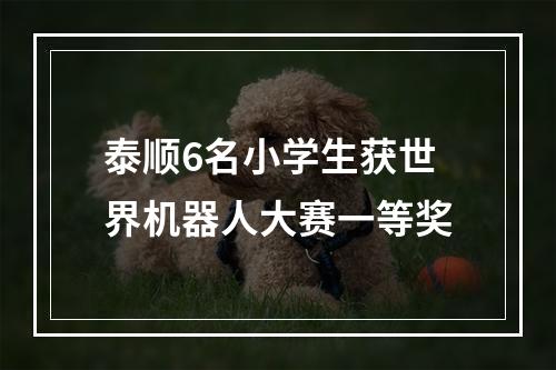 泰顺6名小学生获世界机器人大赛一等奖