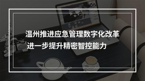 温州推进应急管理数字化改革 进一步提升精密智控能力