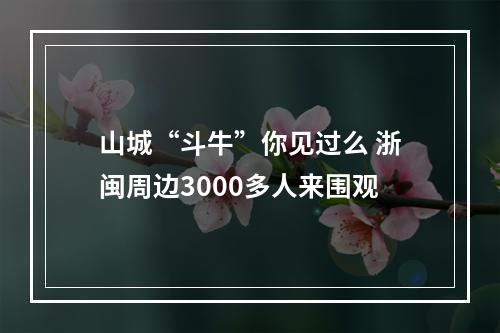 山城“斗牛”你见过么 浙闽周边3000多人来围观